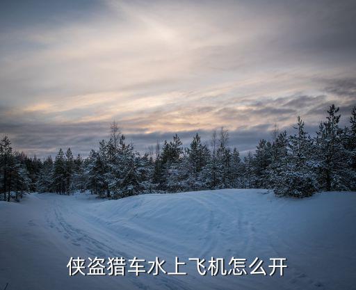 侠盗猎车水上飞机怎么开