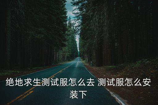 绝地求生测试服怎么去 测试服怎么安装下