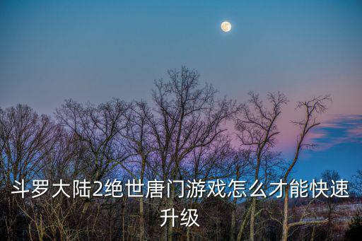 斗罗大陆2绝世唐门游戏怎么才能快速升级