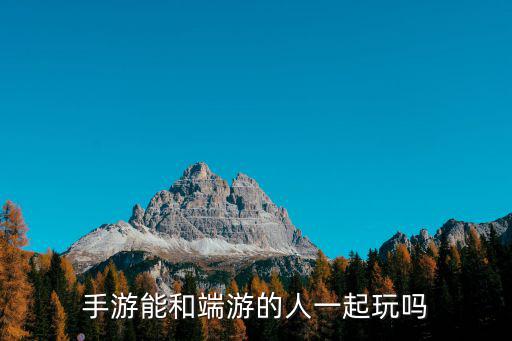 手游能和端游的人一起玩吗
