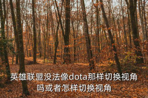 英雄联盟没法像dota那样切换视角吗或者怎样切换视角