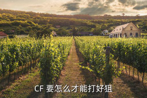 cf怎么才能玩好狙手游，CF 要怎么才能打好狙