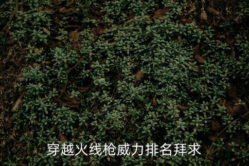 穿越火线枪威力排名拜求