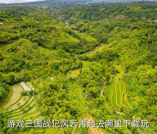游戏三国战记风云再起去哪里下载玩