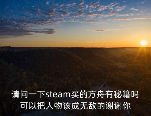 请问一下steam买的方舟有秘籍吗可以把人物该成无敌的谢谢你