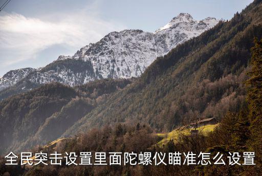 cf手游陀螺仪怎么设置比较好，求会用d10接k8的朋友帮忙如何设置陀螺仪参数
