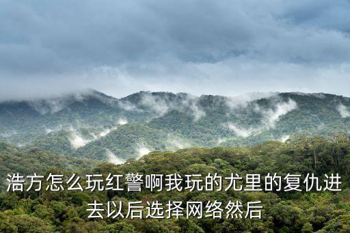 浩方怎么玩红警啊我玩的尤里的复仇进去以后选择网络然后