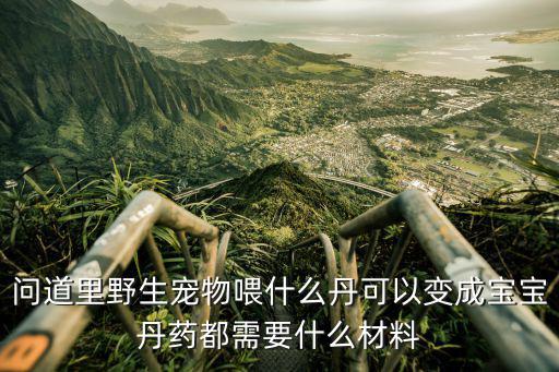 问道里野生宠物喂什么丹可以变成宝宝丹药都需要什么材料