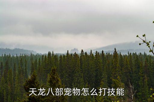天龙八部宠物怎么打技能
