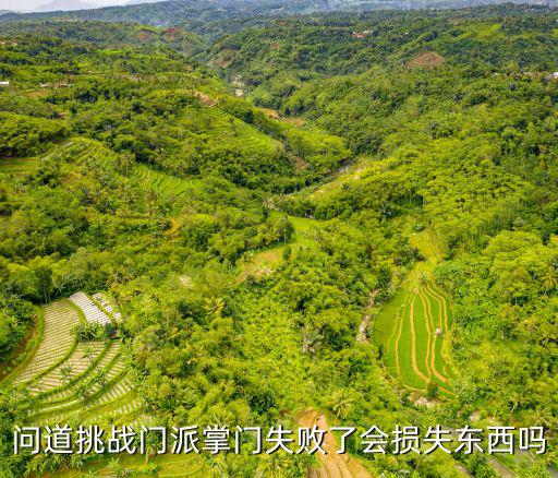 问道挑战门派掌门失败了会损失东西吗