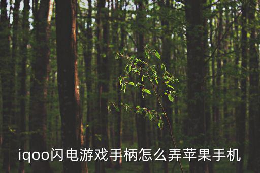iqoo闪电游戏手柄怎么弄苹果手机