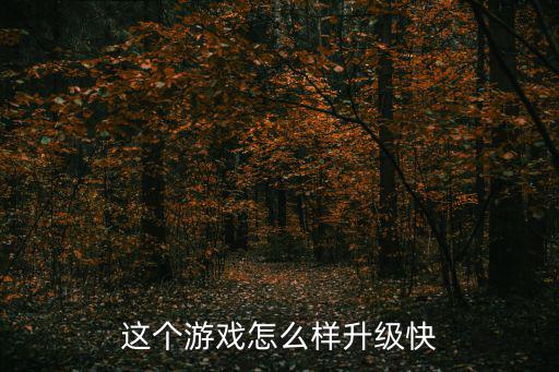 这个游戏怎么样升级快