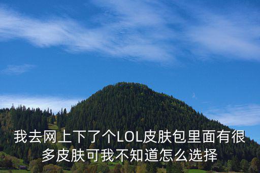 我去网上下了个LOL皮肤包里面有很多皮肤可我不知道怎么选择