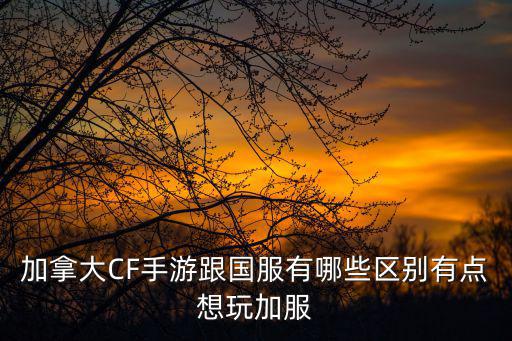cf手游国服十强音效卡怎么得，CF手游十七金韵M4怎么就值几百块钱