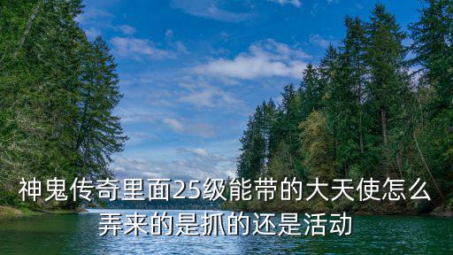 神鬼传奇里面25级能带的大天使怎么弄来的是抓的还是活动