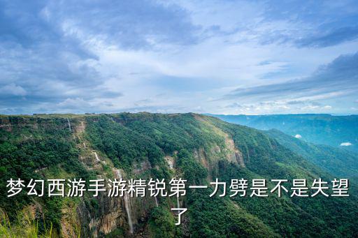 梦幻西游手游精锐第一力劈是不是失望了