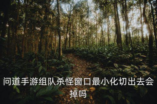 问道手游组队杀怪窗口最小化切出去会掉吗