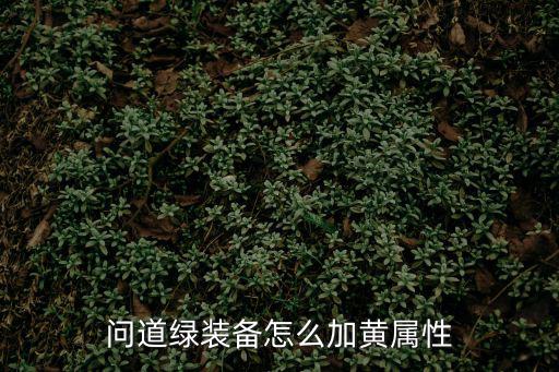 问道绿装备怎么加黄属性