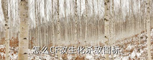 怎么CF改生化杀敌图标