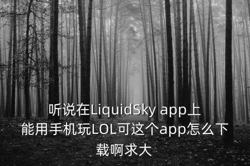 听说在LiquidSky app上能用手机玩LOL可这个app怎么下载啊求大
