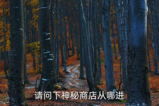 请问下神秘商店从哪进