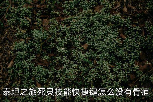 泰坦之旅死灵技能快捷键怎么没有骨疽