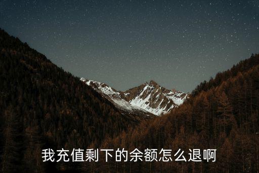 我充值剩下的余额怎么退啊