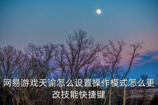 网易游戏天谕怎么设置操作模式怎么更改技能快捷键