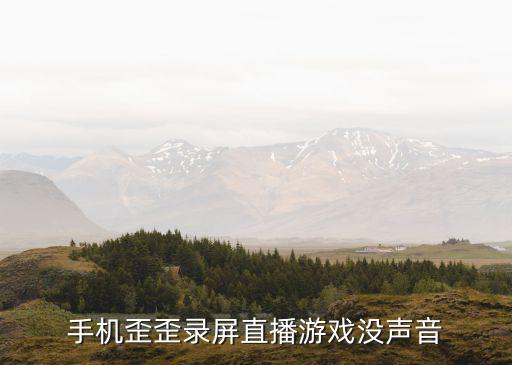虎牙手游录屏直播怎么没有声音，我在YY里看虎牙直播然后顺便录下来了但是录下来的视频只有