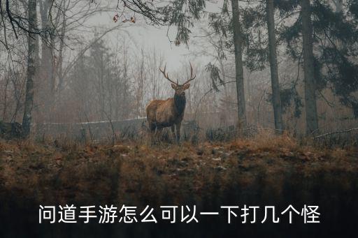 问道手游怎么可以一下打几个怪