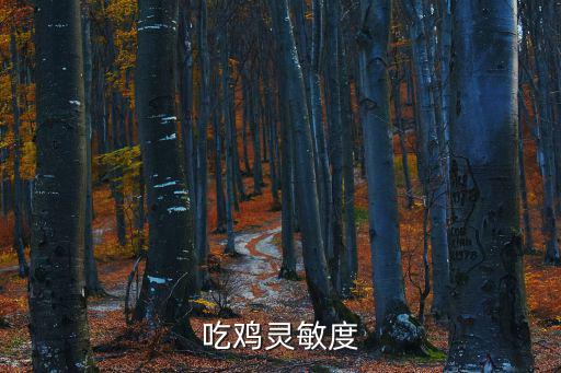 吃鸡灵敏度