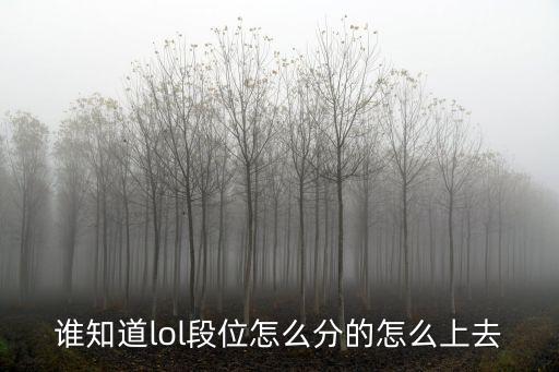 谁知道lol段位怎么分的怎么上去