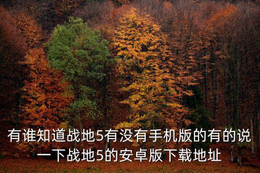 战地5手游版怎么进，如何进入战地英雄游戏