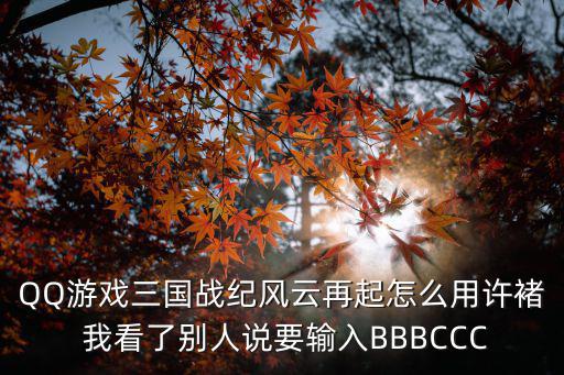 QQ游戏三国战纪风云再起怎么用许褚 我看了别人说要输入BBBCCC