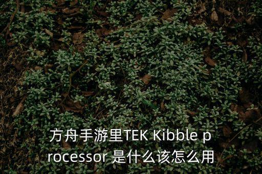 方舟手游里TEK Kibble processor 是什么该怎么用