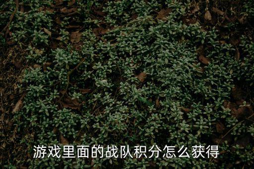 游戏里面的战队积分怎么获得