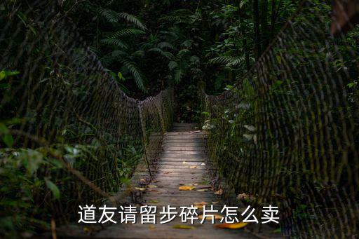道友请留步碎片怎么卖
