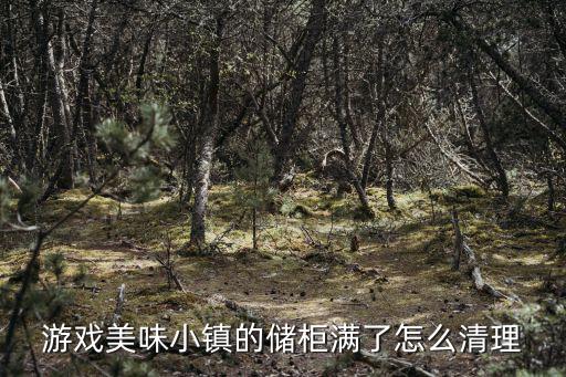 游戏美味小镇的储柜满了怎么清理
