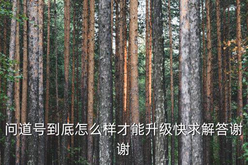 问道手游队伍号怎么升级系统，问道队伍号如何快速升级
