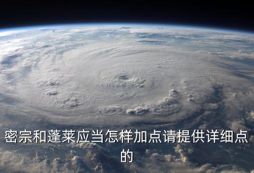 密宗和蓬莱应当怎样加点请提供详细点的