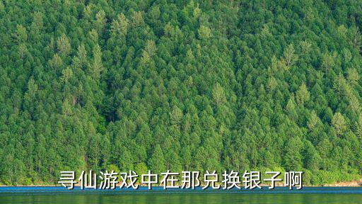 寻仙手游银子怎么弄，寻仙银子怎么计算的