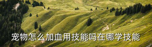 宠物怎么加血用技能吗在哪学技能