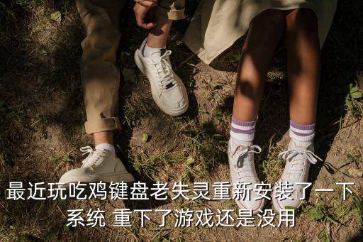 最近玩吃鸡键盘老失灵重新安装了一下系统 重下了游戏还是没用