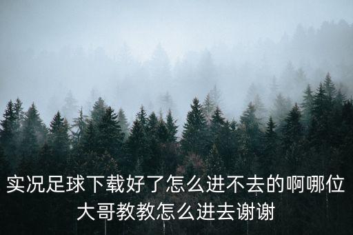 实况足球下载好了怎么进不去的啊哪位大哥教教怎么进去谢谢