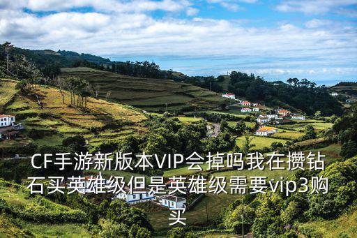 CF手游新版本VIP会掉吗我在攒钻石买英雄级但是英雄级需要vip3购买