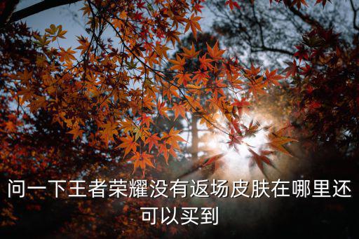 王者荣耀手游返场皮肤怎么买，王者荣耀限定皮肤返场怎么投票