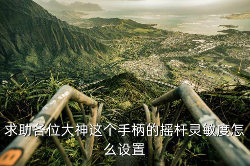 求助各位大神这个手柄的摇杆灵敏度怎么设置