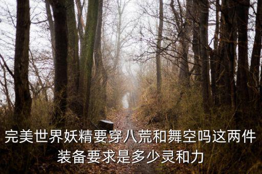 完美世界妖精要穿八荒和舞空吗这两件装备要求是多少灵和力