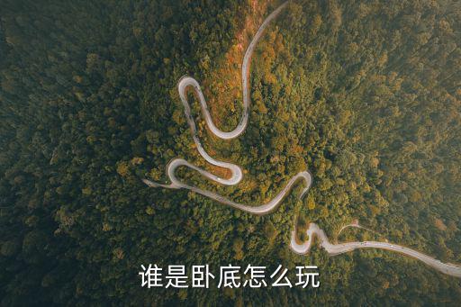 谁是卧底怎么玩
