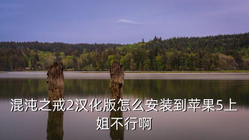 混沌之戒2汉化版怎么安装到苹果5上姐不行啊